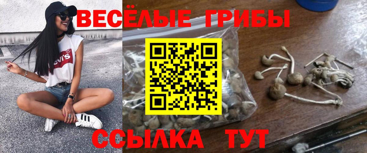 Псилоцибиновые грибы Magic Shrooms  Вход с VPN  Рославль 